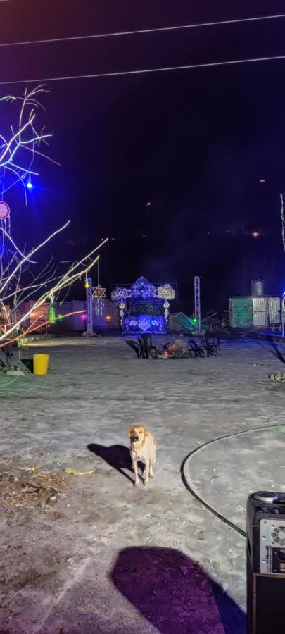 Stayhigh Camps & Cottages Kasol Bagian luar foto
